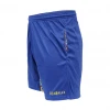 OddBalls Chameleon - Tech Fit - Mens Sport Shorts
