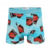 OddBalls Dragons - Teal - Teen Boys Boxer Shorts