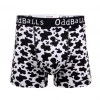 OddBalls Cow Print - Teen Boys Boxer Shorts
