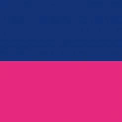 OddBalls Subscriptions CLASSIC Subscription - LADIES BRIEFS & Socks [G2]