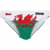 OddBalls Wales - Swimmers Sportswear