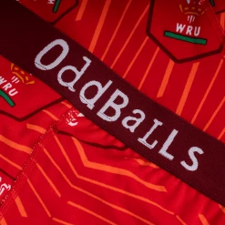 OddBalls Welsh Rugby Union - Home - Mens Briefs